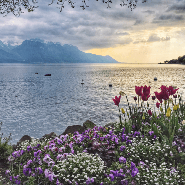 immobilier luxe geneve